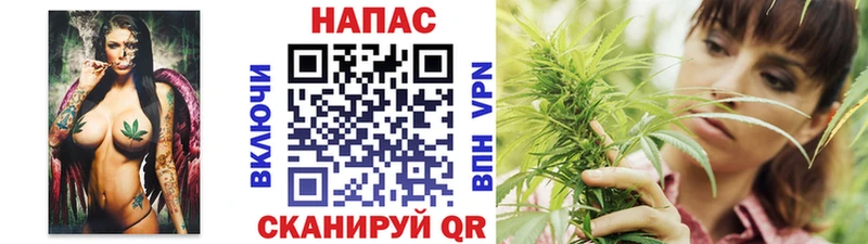 где продают   Лабинск  Бошки марихуана THC 21% 